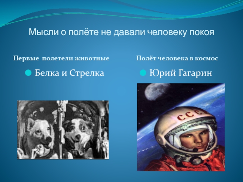 В каком году полетели в космос. Юрий Гагарин и белка и стрелка. Белка и стрелка полетели в космос Юрина Гагарина. В полете мыслей. Кто 1 слетал в космос белка стрелка или Юрий Гагарин.