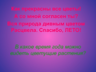 В какое время года можно видеть цветущие растения?