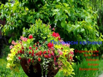 Переносні квітники