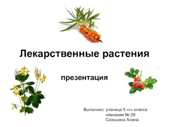 Лекарственные растения