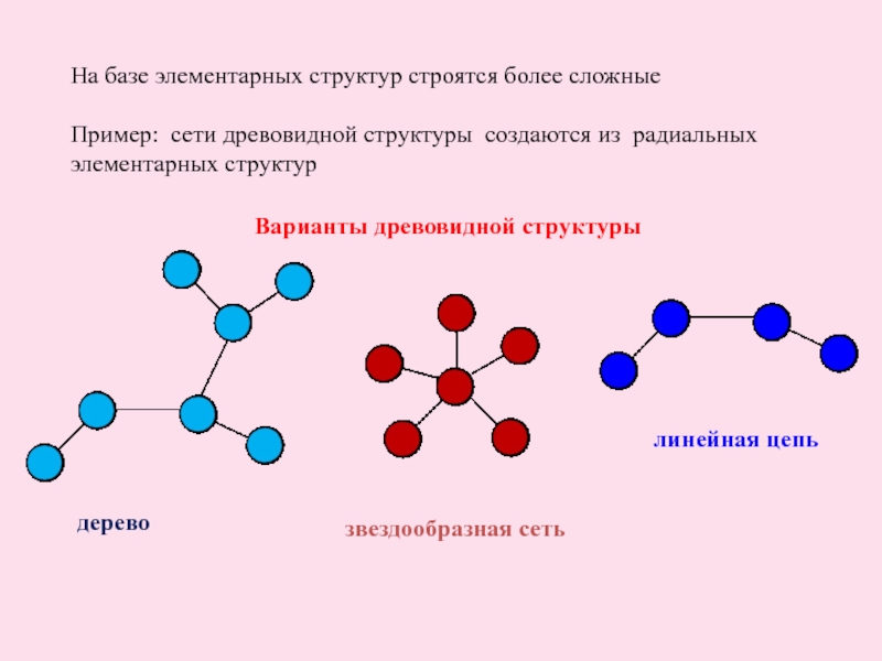 На базе элементарных структур строятся более сложные Пример: сети древовидной структуры создаются из радиальных элементарных