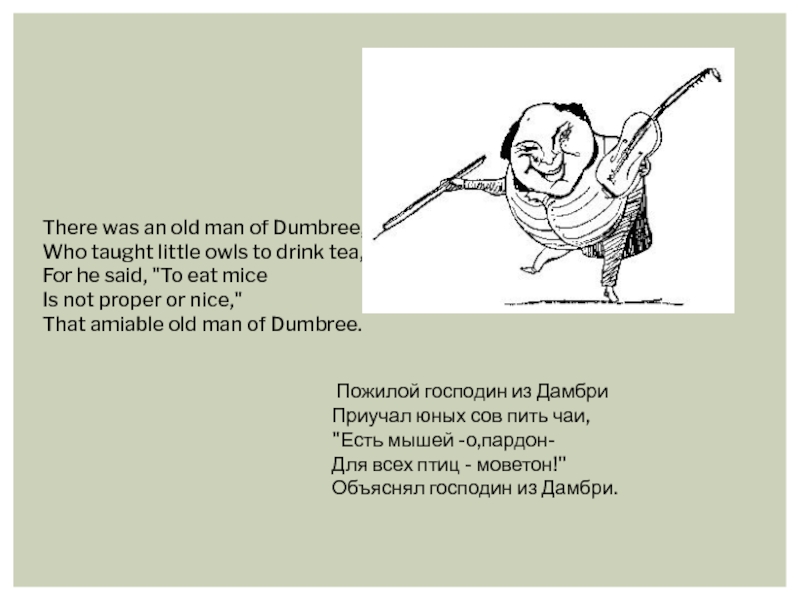 There was an old man of Dumbree, Who taught little owls to