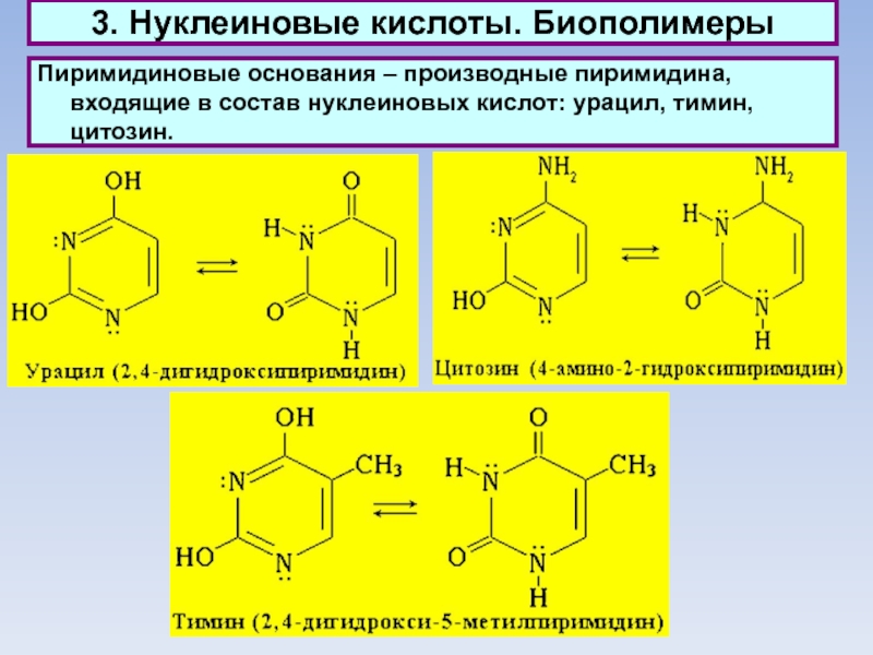 3. Нуклеиновые кислоты. БиополимерыПиримидиновые основания – производные пиримидина, входящие в состав нуклеиновых кислот: урацил, тимин, цитозин.