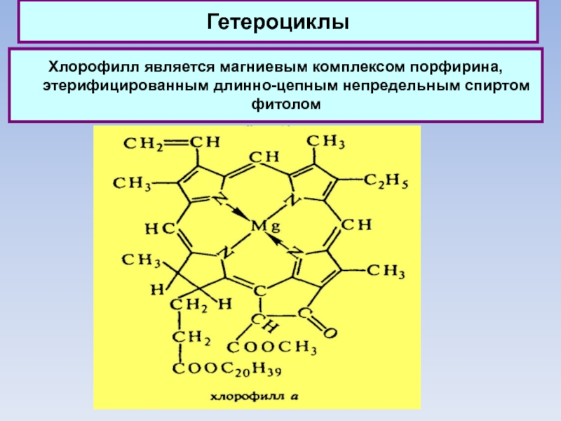 ГетероциклыХлорофилл является магниевым комплексом порфирина, этерифицированным длинно-цепным непредельным спиртом фитолом