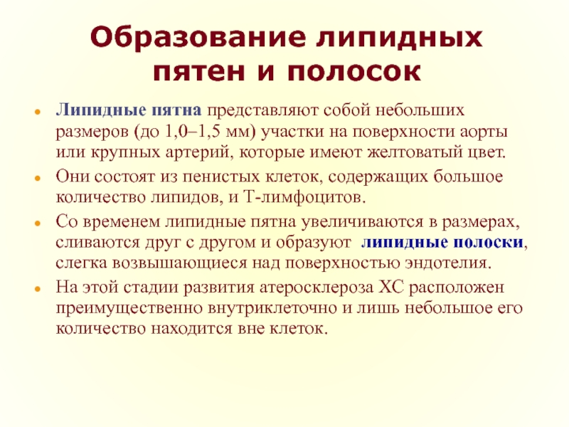 Гиперлипидемия атеросклероз. Липидные пятна и полоски.