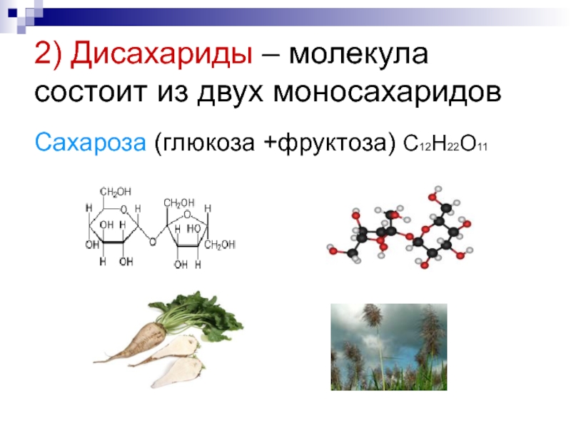 Молекула состоит из ответ