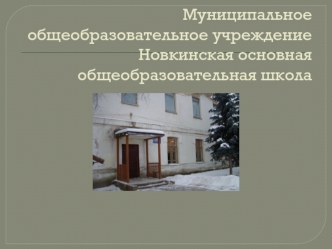 Муниципальное общеобразовательное учреждение Новкинская основная общеобразовательная школа