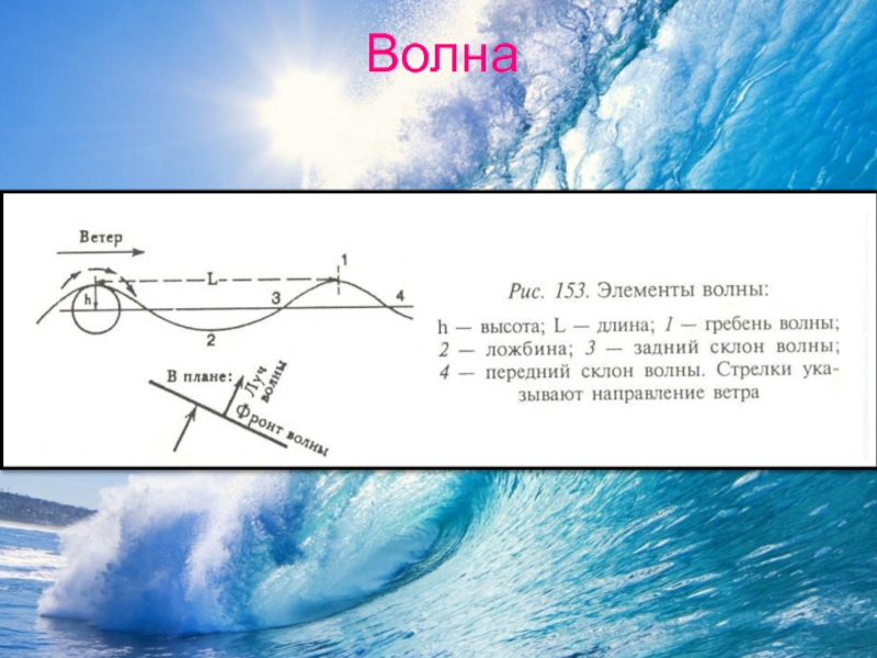 Что такое длина и высота волны поясните свой ответ схемой