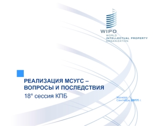 РЕАЛИЗАЦИЯ МСУГС – ВОПРОСЫ И ПОСЛЕДСТВИЯ
18я сессия КПБ