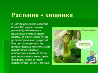 Растения - хищники