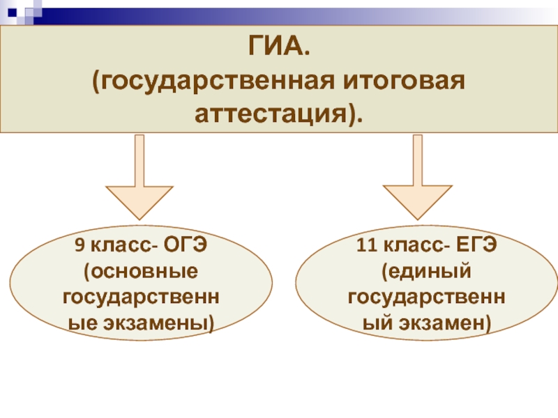 Политика 9 класс огэ презентация