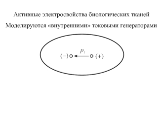 Активные электросвойства биологических тканей