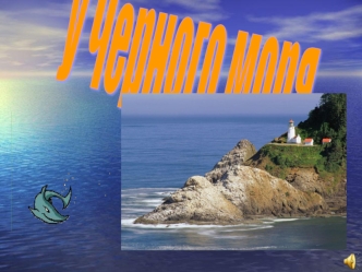 У Черного моря
