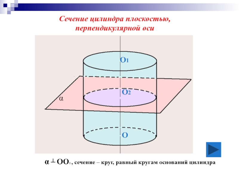 Нижнее основание цилиндра