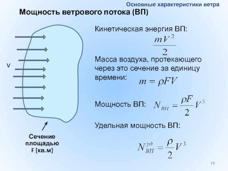 Площадь сечения потока