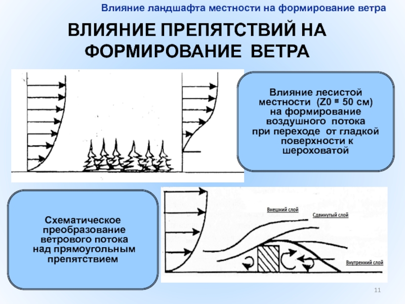 Действие ветра. Влияние ветра на лес и леса на формирование воздушных потоков. Местность в ландшафтоведении. Как ветер формирует ландшафт. Индикаторы воздействия ландшафт.