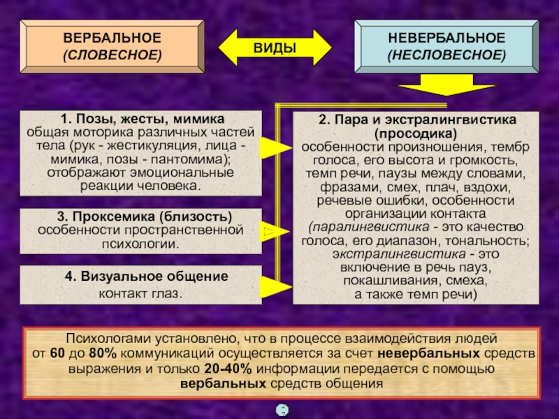 Вербальный интеллект