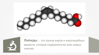 Липиды. Жиры в организме