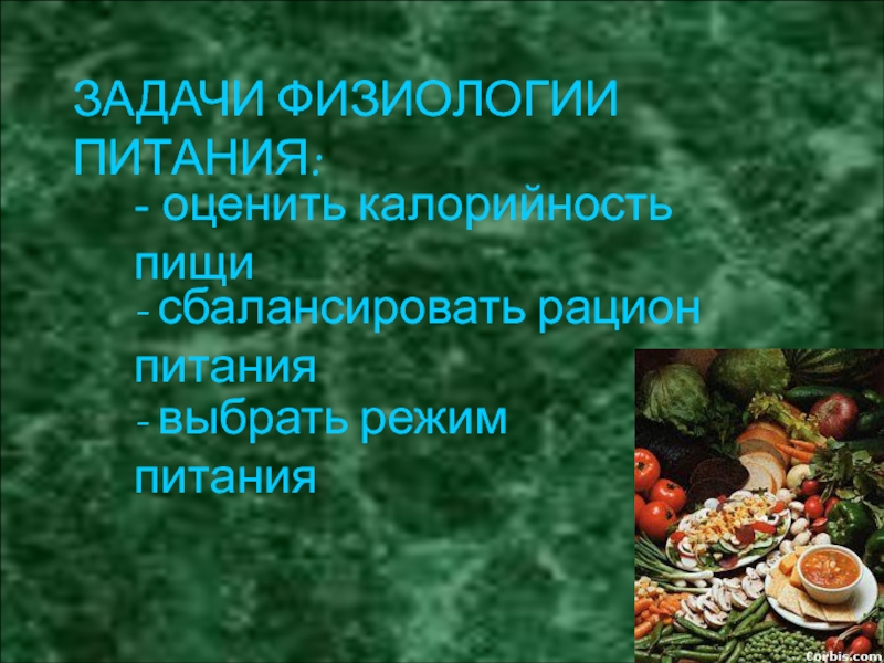 Кулинария 6 класс технология физиология питания презентация