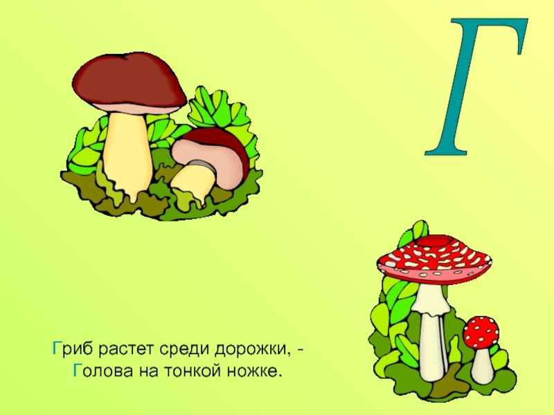 Среди дорожки. Гриб растет среди дорожки голова на тонкой ножке. УРИД растёт спеди дорожки - Золова на тонкой ножке.. Гриб растет среди дорожки. Буква г гриб.