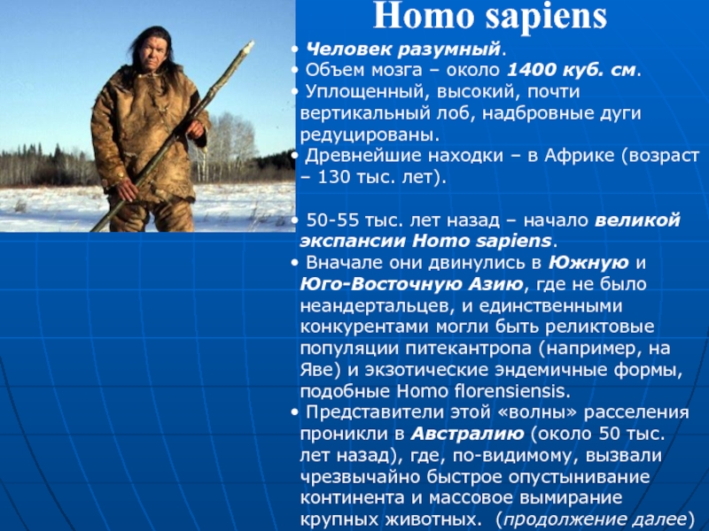 Homo объем мозга. Человек разумный объем мозга. Человек разумный homo sapiens объем мозга. Хомо сапиенс объем мозга. Хомосапиенс объем мозга.