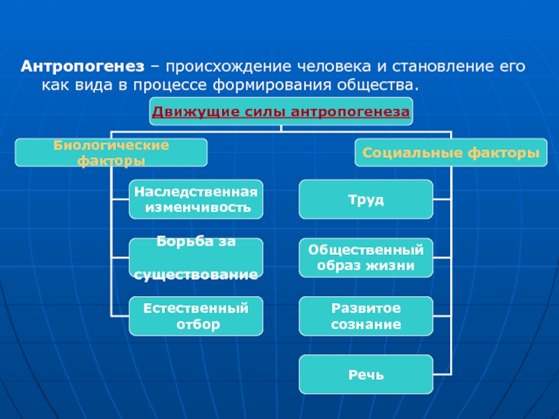 Происхождение человека антропогенез презентация