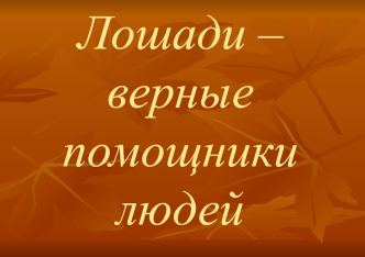 Лошади – верные помощники людей