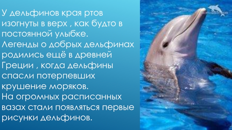 Дельфина Слитые Фото