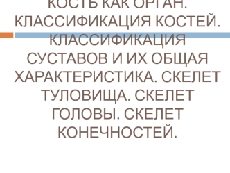 Костная система. Кость, как орган. Классификация костей. Классификация суставов и их общая характеристика