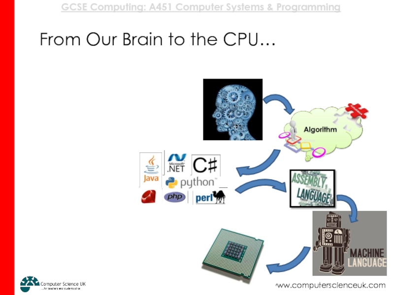 From Our Brain to the CPU…