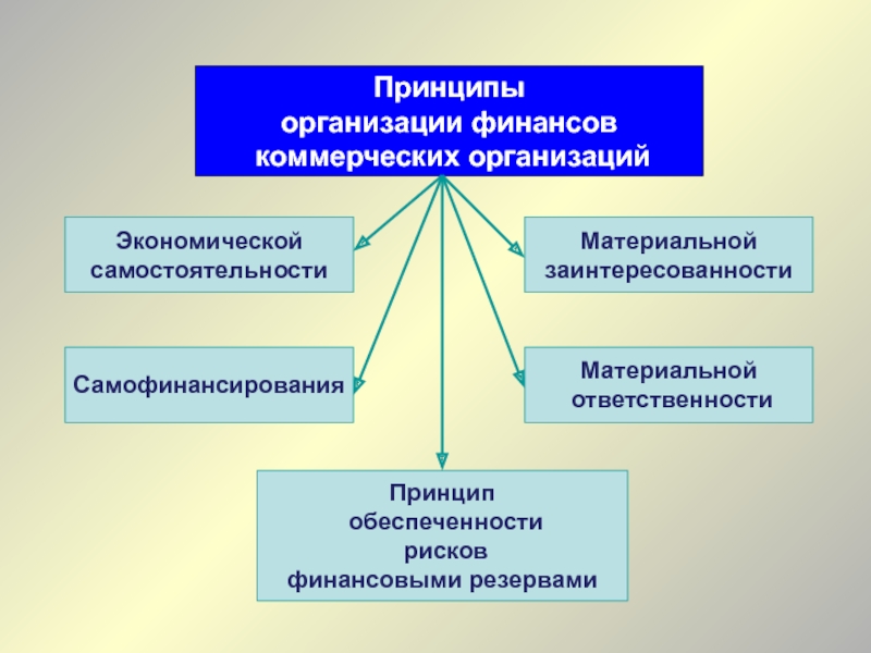 Какой принцип организации