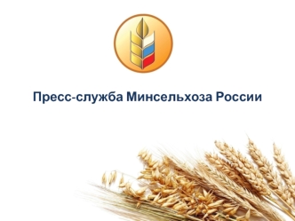 Пресс-служба Минсельхоза России