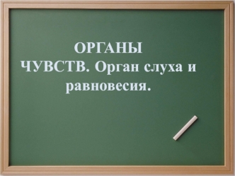 Органы чувств. Орган слуха и равновесия