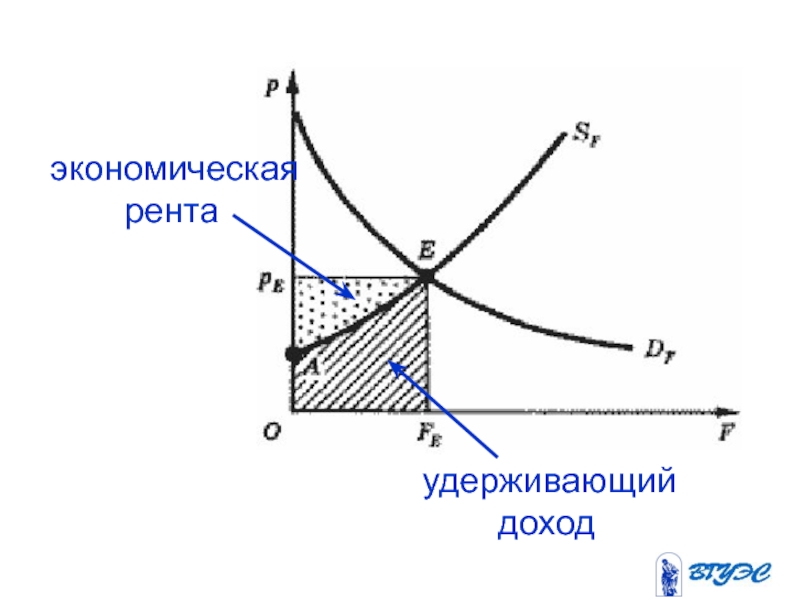 Удерживающий доход. Рента в экономике картинки для презентации. Экономическая рента картинки. Объем производства по спросу и предложению.