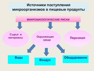 Микробиологическая безопасность продуктов