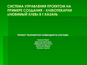 Система управления проектом на примере создания хлебопекарни Любимый хлеб в г. Казань