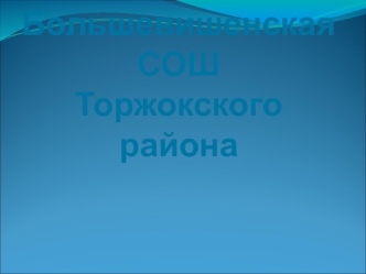 Большевишенская СОШТоржокского района