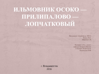 Ильмовник осоко-прилипалово-лопчатковый