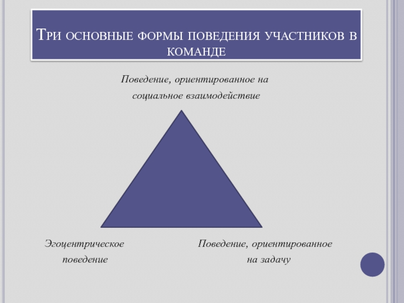 Три ключевых. Поведение ориентированное на задачу пример. Поведение ориентированное на задачи. Виды поведения в команде. Рекреационно-ориентированное целевое поведение.