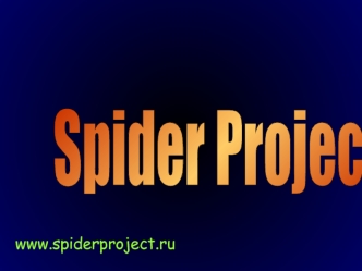 Spider Project