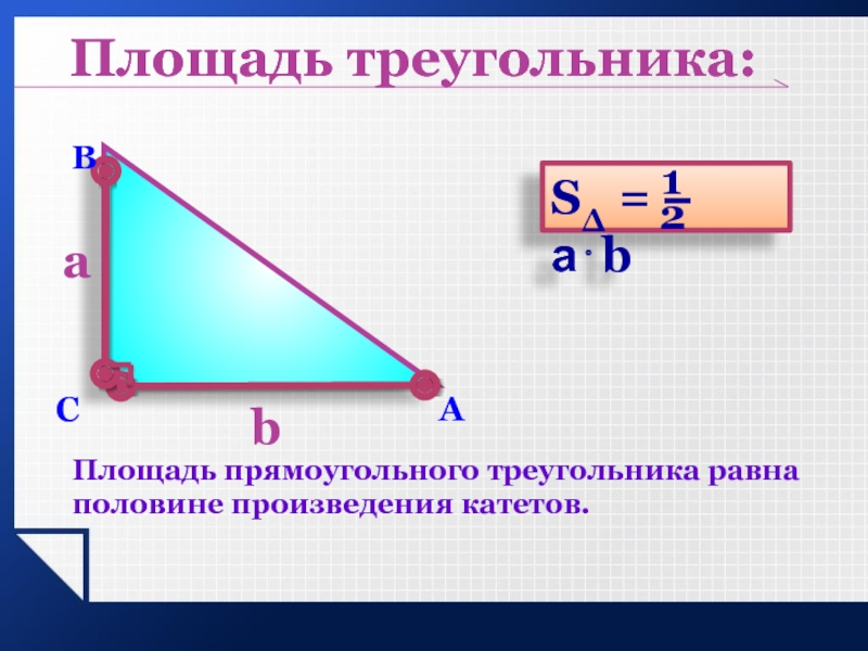 Площадь равна половине произведения катетов