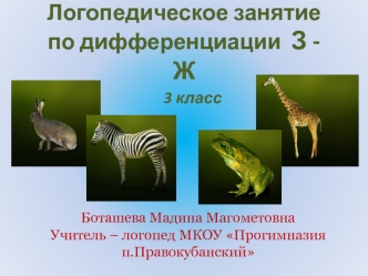 Логопедическое занятие по дифференциации  З - Ж