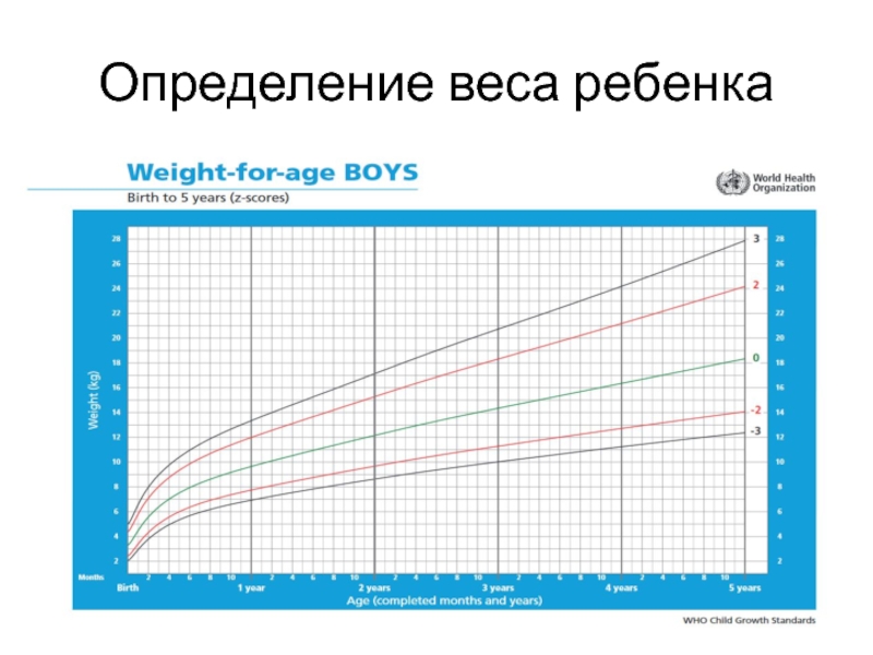 Определить вес оценки