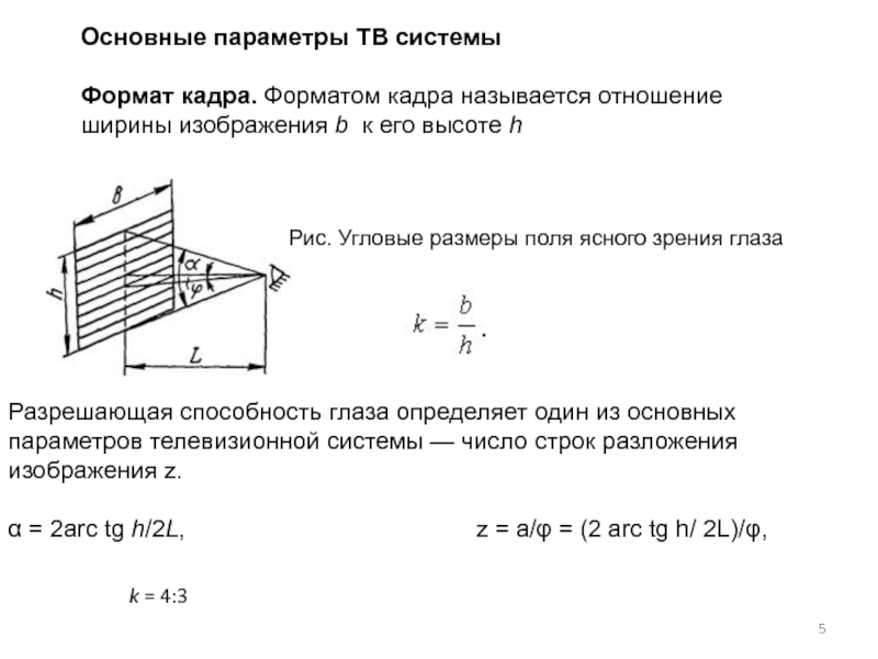 Масштаб изображения в кадре называется