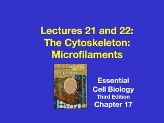 The cytoskeleton: microfilaments essential. Cell biology