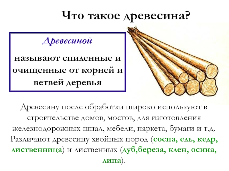 Что называется древесиной. Информация о Лесо матерьялов. Информация о древесине. Основные сведения о древесине. Что называют лесоматериалом.