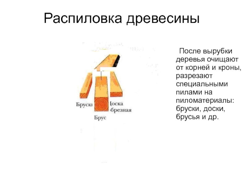 Субъекты с низкой долей производства древесины. Отходы после пиления древесины. Отходы после пиления древесины ответ. Стихи про распиловку древесины. Внутренний документ на распиловку древесины.