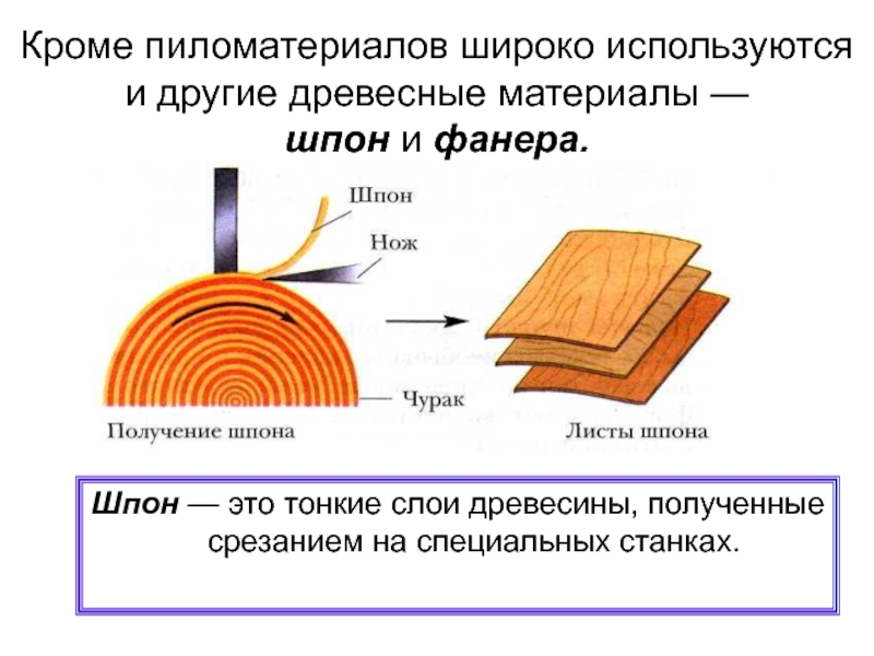 Древесные материалы материаловедение презентация