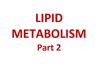 Lipid metabolism. Part 2