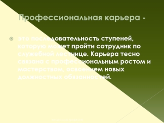 Профессиональная карьера -